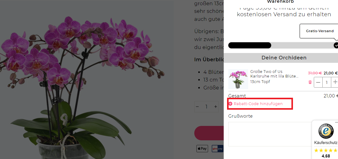 Orchideen Klusmann Rabatt