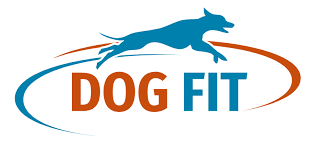 Dog Fit Coupons & Promo Codes